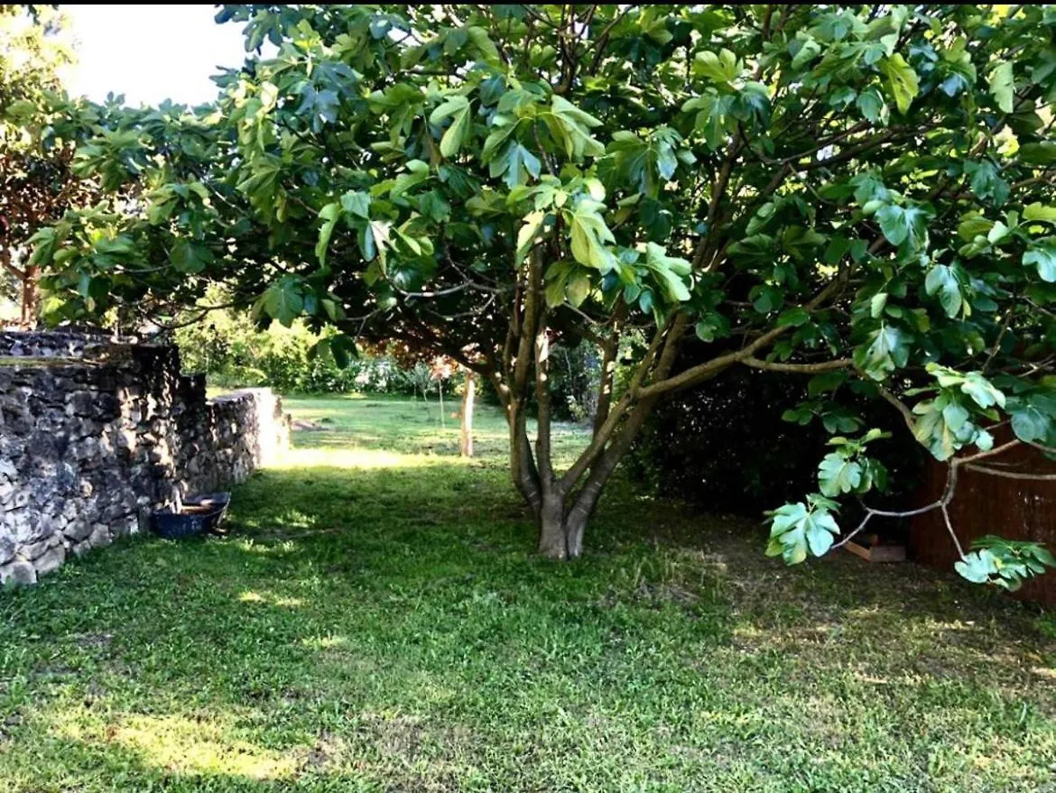 Holiday home Grande Maison Familiale Avec Piscine En Provence Rognes France